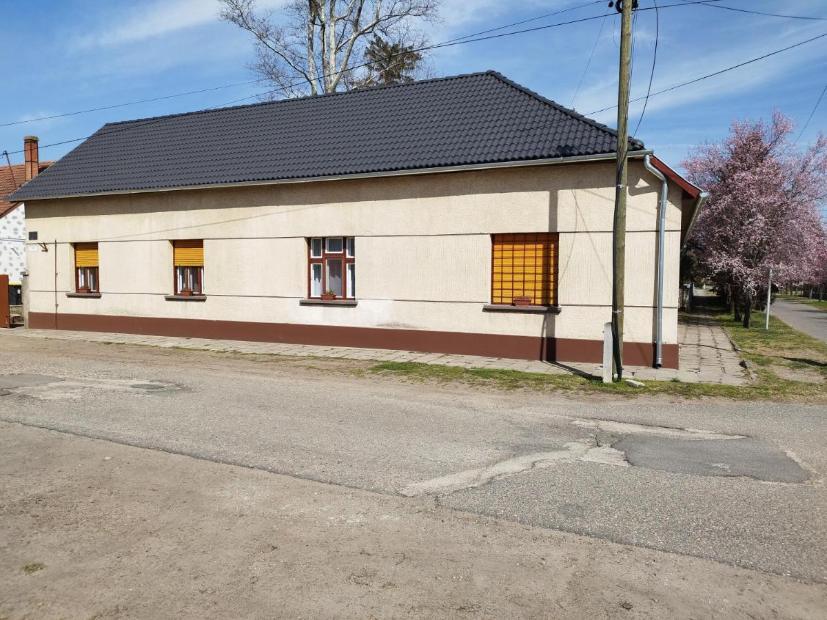 Tartos Szegfu Vendeghaz, Maganszallas Tazlar 外观 照片