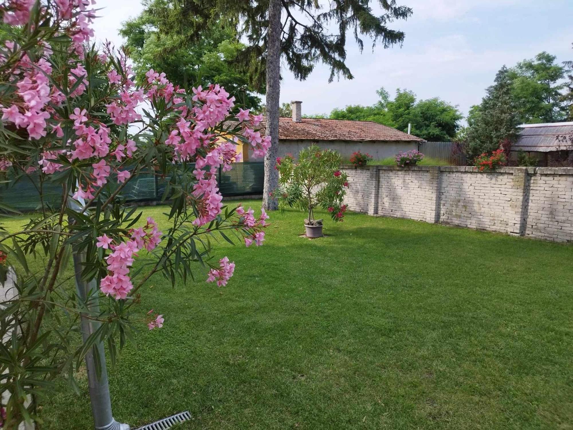 Tartos Szegfu Vendeghaz, Maganszallas Tazlar 外观 照片